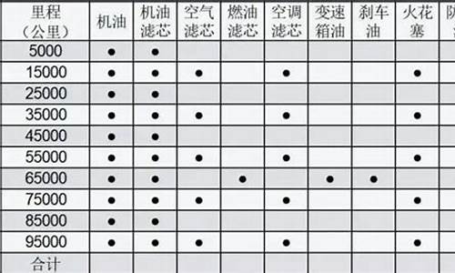 大众途锐保养周期_大众途锐保养周期表