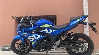 铃木gsx250r黑武士_铃木gsx250r黑武士官方报价